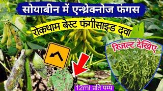 सोयाबीन में एन्थ्रेक्नोज फंगस की रोकथामSoybean me Anthracnose fungus ki rokthamsoybean ki kheti