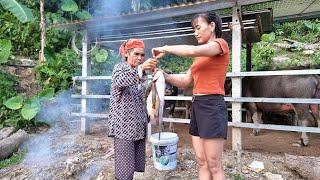 Harvested a nest of natural stream fish and brought it home to give to my mother / Bàn Thị Diết