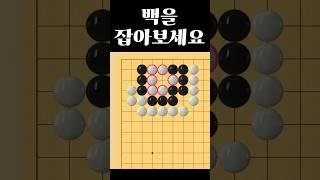 쉬운 바둑 사활 - 단순 패는 정답이 아닙니다