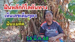 ฝันหลักกิโลตันทาง เห็นเลขเต็มๆตา ฝันแม่คิด 16 มี.ค.68