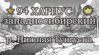  р. Нижняя Тунгуска  Хариус западносибирский  Русская рыбалка 4 