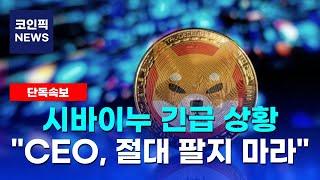 [시바이누 코인] 긴급 상황 "CEO, 절대 팔지 마라" 1달러 도달 전망 발표! 필수시청!