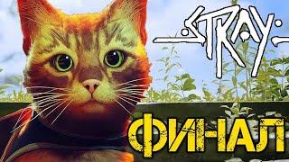 САМАЯ МИЛАЯ ИГРА ПРО КОТИКА  STRAY ◉ Прохождение #4 НАДЕЮСЬ ФИНАЛ