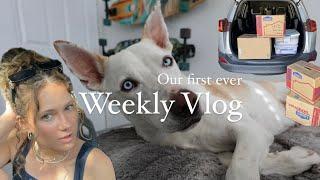 Weekly Vlog/ moving out of my parents house