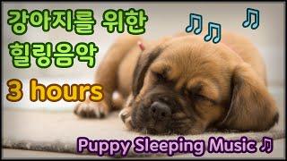 강아지가 보는 유튜브, 강아지 힐링음악, 휴식과 수면을 위한 음악입니다  - Puppy Sleeping Music  (3 hours of continuous playback)