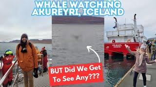 Whale Watching In Akureyri, Iceland - Will We Have More Luck Than We Did In Alaska? 