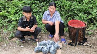 Single mother and her son pick green moss to sell - the daily life of a single mother