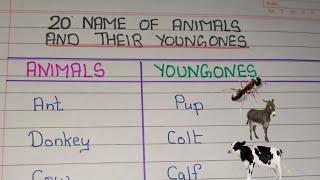 Name of Animals and their Young Ones | Animals and their Babies || 20 Animals Young Ones