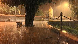 Fall Asleep Faster with Sweet Rain Sound in Park at Night - Nature Sounds for Sleeping - Relaxing