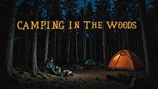 9 Scary True Camping In The Woods Horror Stories | With Rain Sounds