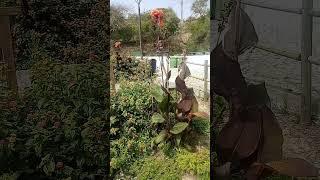 alguém sabe em que país fica?