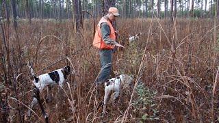 Mississippi State University Extension professor honored for excellence in Extension.