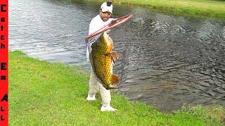 CATCHING MONSTER FISH to BRING HOME! **Testing Ponds for signs of Life**