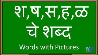 श, ष, स, ह, ळ चे शब्द । श, ष, स, ह, ळ असलेले शब्द | वाचन सराव । Words with Pictures | Compilation