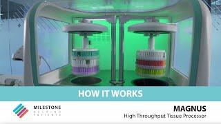 MAGNUS High Throughput Tissue Processor – How it works