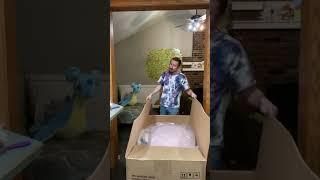 Worlds BIGGEST Pokemon Box Opening!