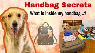 What is inside your dog handbag ? | Zara TheRetriever | Handbag secrets revealed #goldenretriever