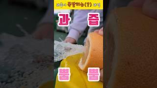 과즙이 폭발하는(?)과일이 위험한이유ㅋㅋㅋㅋ