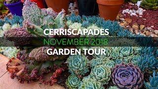 Cerriscapades - Succulent Garden Tour November 2018