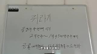 23.쥐라기,공룡의 진화