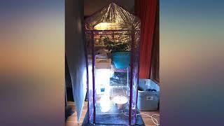 Watex Greenhouse (for Mobile Green Wall) review