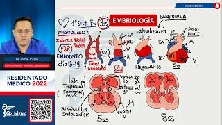 BÁSICAS I - CARDIOLOGÍA