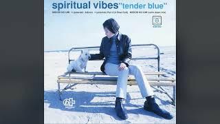 [1995] Spiritual Vibes – Tender Blue [Full Album]