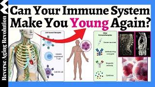 Can Your Immune System Make You YOUNG AGAIN?