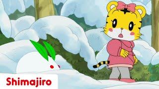 Hannah and the Snow Rabbit ️ Friendship | 24 Minute Compilation | Kids video for Kids | Shimajiro