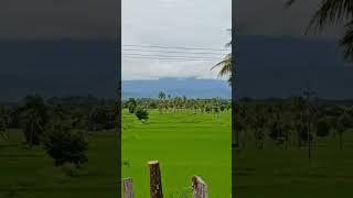 Simply beautiful  Along the road to Attapeu Province of Laos