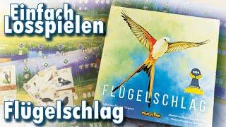 Flügelschlag Einfach Losspielen (Brettspiel Regeln)