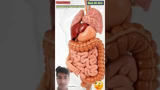 Digestive system Animatione you system akash Kumar subscribe share comment 