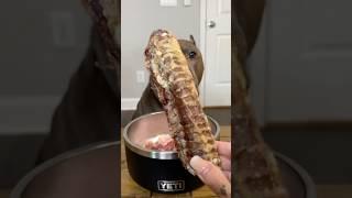 Beef Trachea