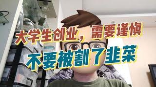 大学生创业，需要谨慎，不要被割了韭菜