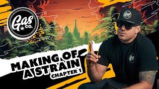 Gas Co - Making of a strain: Chapter 1 (Documentary)