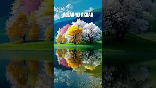SURAH AL- QALAM URDU TRANSLATION # QURAN URDU TRANSLATION...