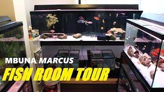 MBUNA MARCUS FISH ROOM TOUR