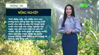 Dự báo thời tiết Lâm Đồng đêm 05 ngày 06/03/2025 | Lâm Đồng TV