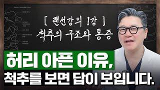 랜선강의 1탄! 허리 아픈 이유, 척추를 보면 답이 보입니다. | 참포도나무병원 이동엽 원장