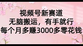 #赚钱最快的方法 视频号新赛道，无脑搬运，有手就行，每个月多赚3000多零花钱#赚钱项目