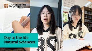 Day in the life of a Cambridge Natural Sciences student