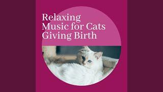 Relaxing Music for Cats Giving Birth