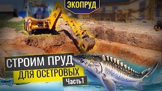 Строительство пруда для осетровых(часть1)