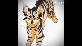 Longtail and Crookedstar || #warriorcats #edit {@Cloudy-Editz}