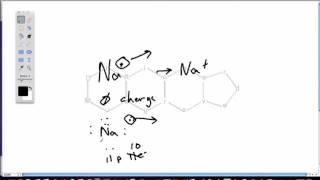 Alkoxide Formation