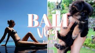 Bali Vlog Day 5 | I FEEL LIKE A ROCKSTAR