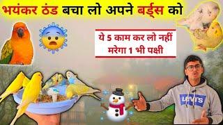 Winter Season Bird Care Tips In Hindi || अधिक ठंड के समय अपने बर्ड्स को कैसे बचाएं 