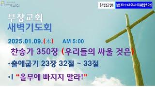 2025-01-09 새벽기도회 (출애굽기 23장 32절 ~ 33절. 구약. 118) "올무에 빠지지 말라!"