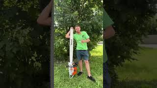 MS 881 САМАЯ МОЩНАЯ ПИЛА В МИРЕ #stihl #бензопила #echo #инструмент #diy