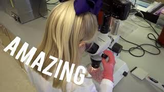 Thank You! | University of Oklahoma